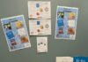 « Lisons pour grandir », un projet de l’association Envoludia avec le soutien de la Fondation L’association Envoludia gère plusieurs crèches inclusives en Ile-de-France